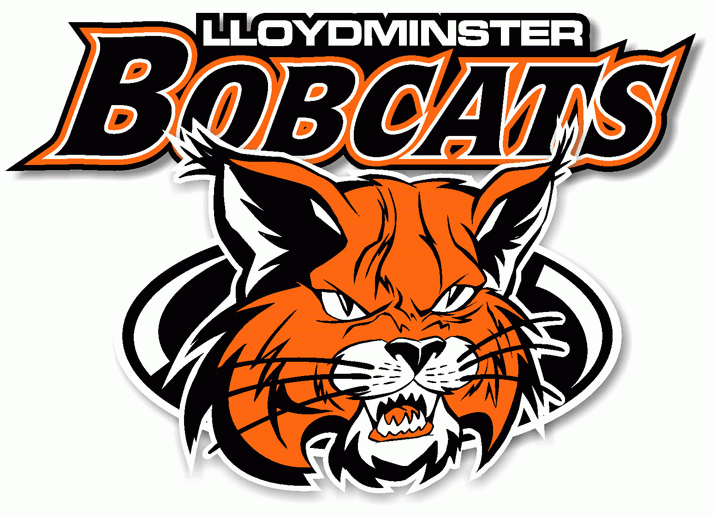 Lloydminster Bobcats 2005-Pres Primary Logo iron on heat transfer